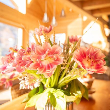 Chalet Ski Academie - Serre Chevalier Saint-Chaffrey Exteriér fotografie